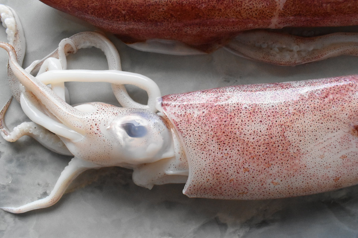 singapore online seafood delivery