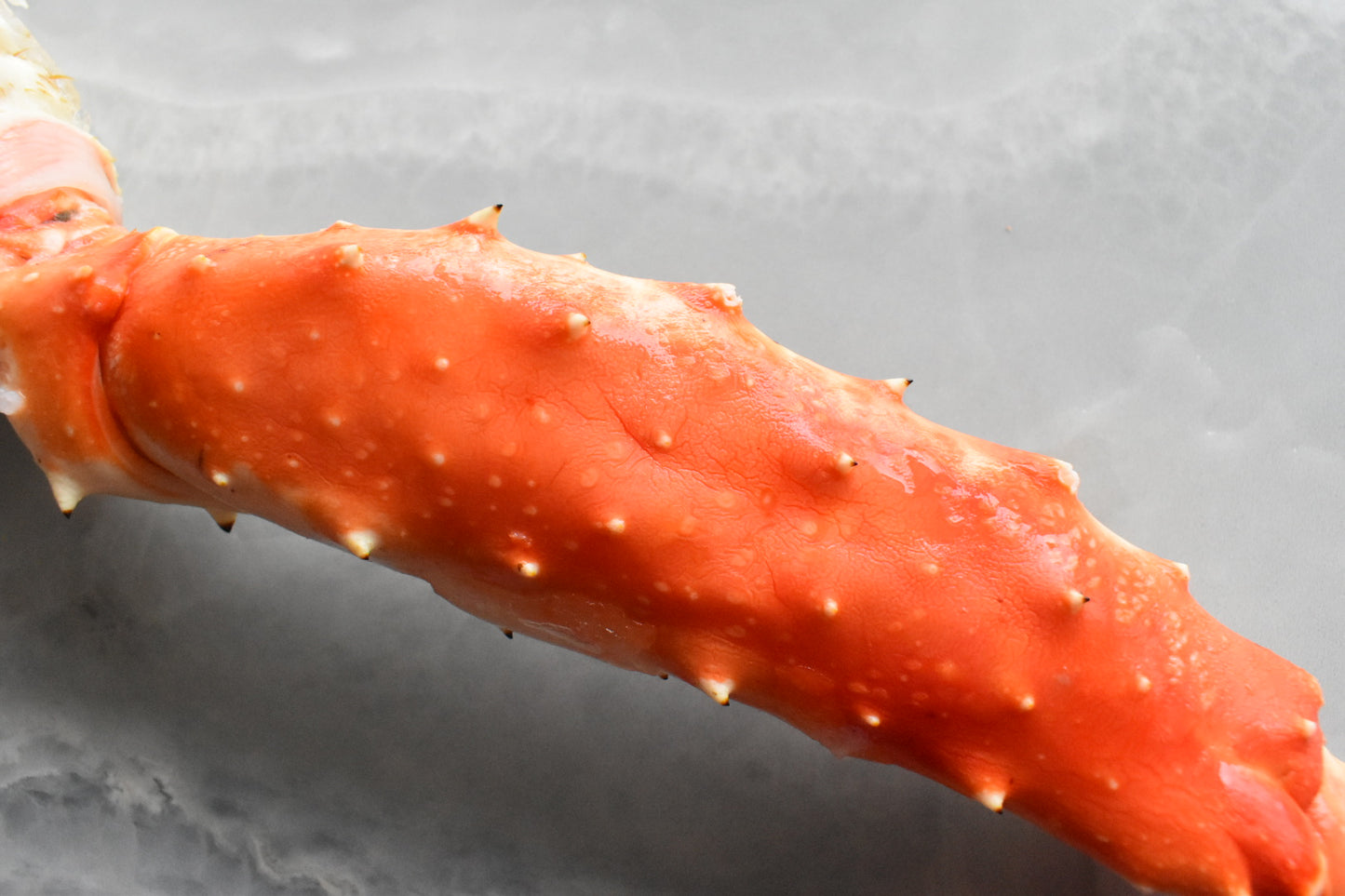 singapore online seafood delivery