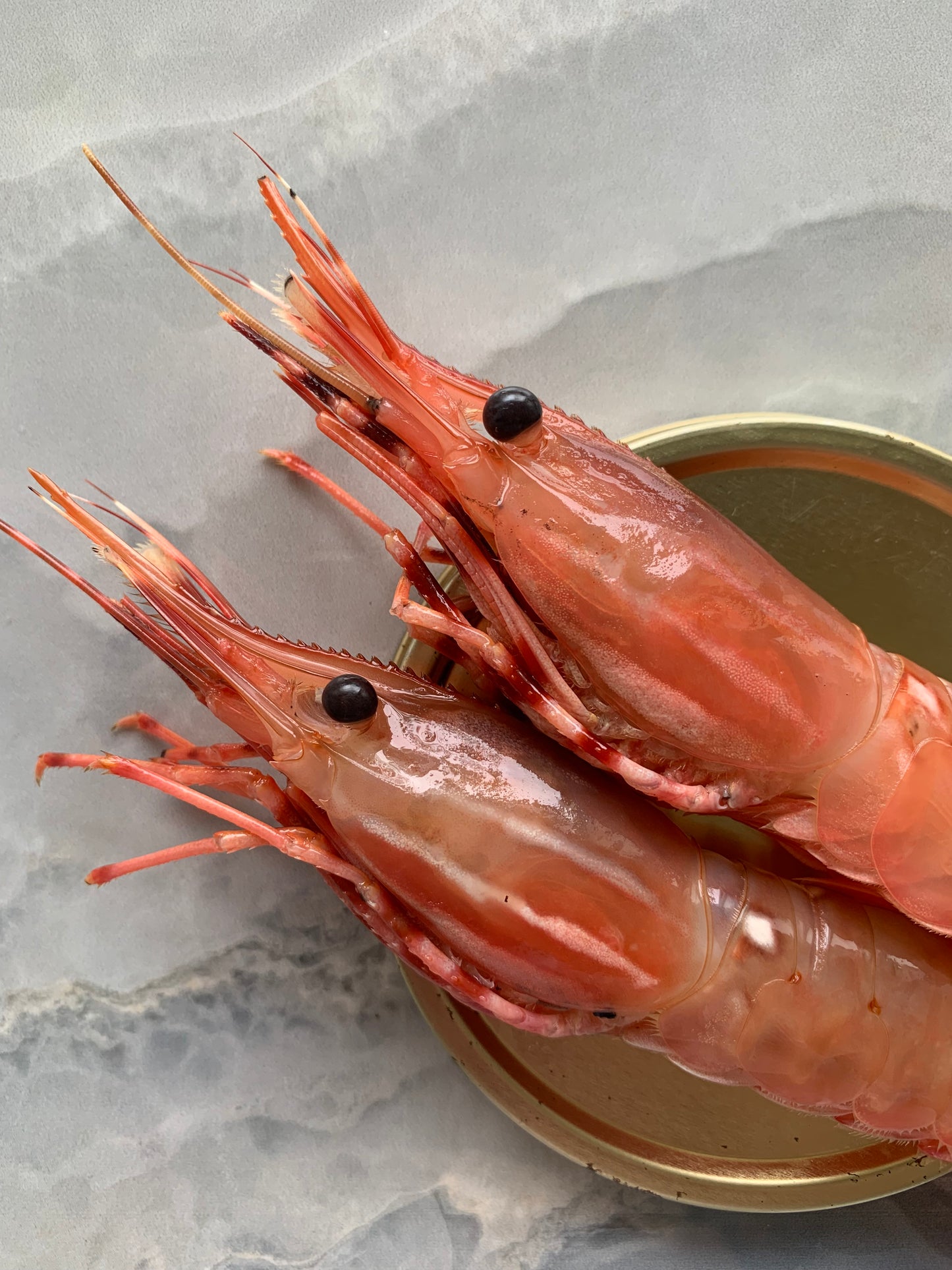Botan ebi | spot prawn |