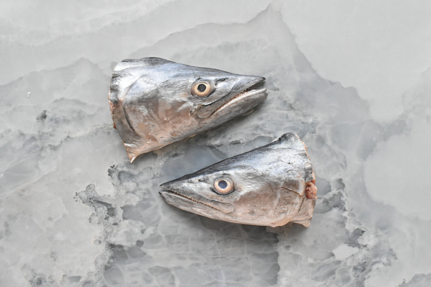 online seafood delivery in Singapore