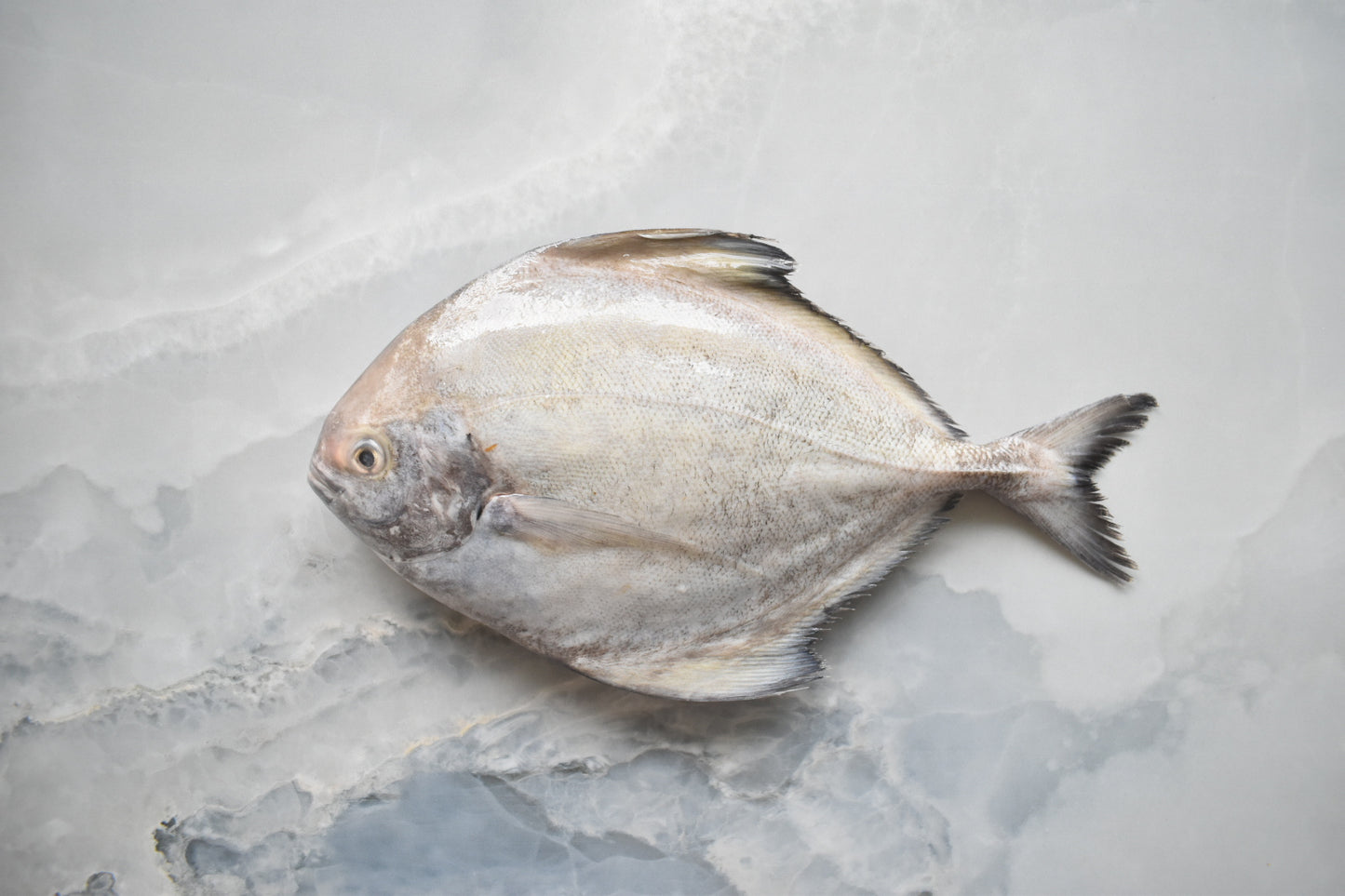 online seafood delivery in Singapore