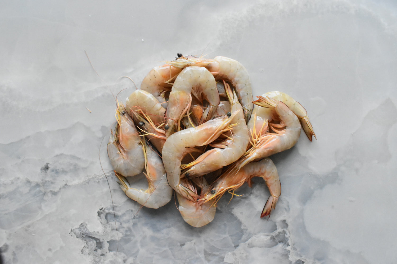 online seafood delivery in Singapore