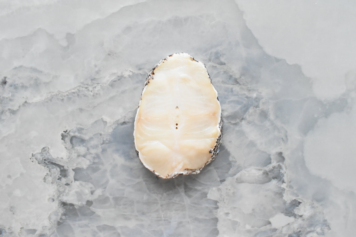 online seafood delivery in Singapore