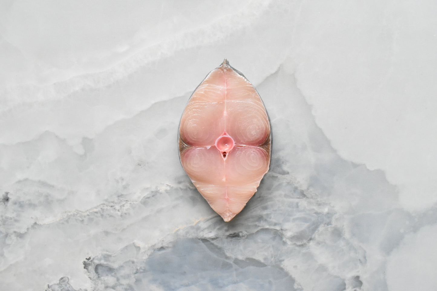 online seafood delivery in Singapore