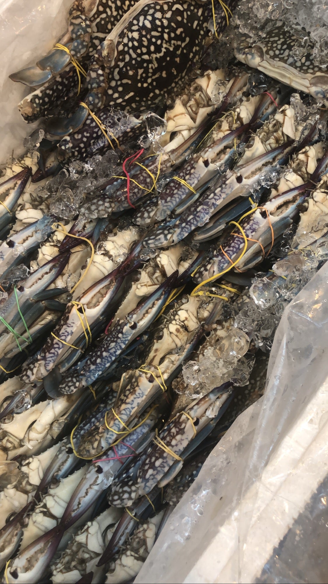 Wholesale seafood supplier Singapore
