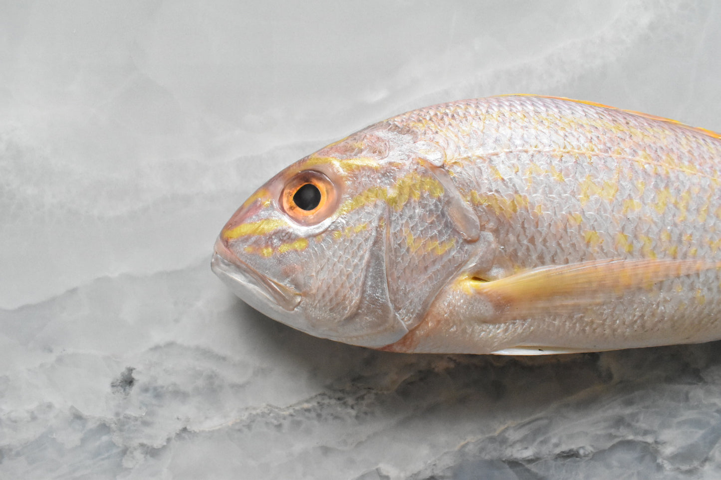 online seafood delivery in Singapore