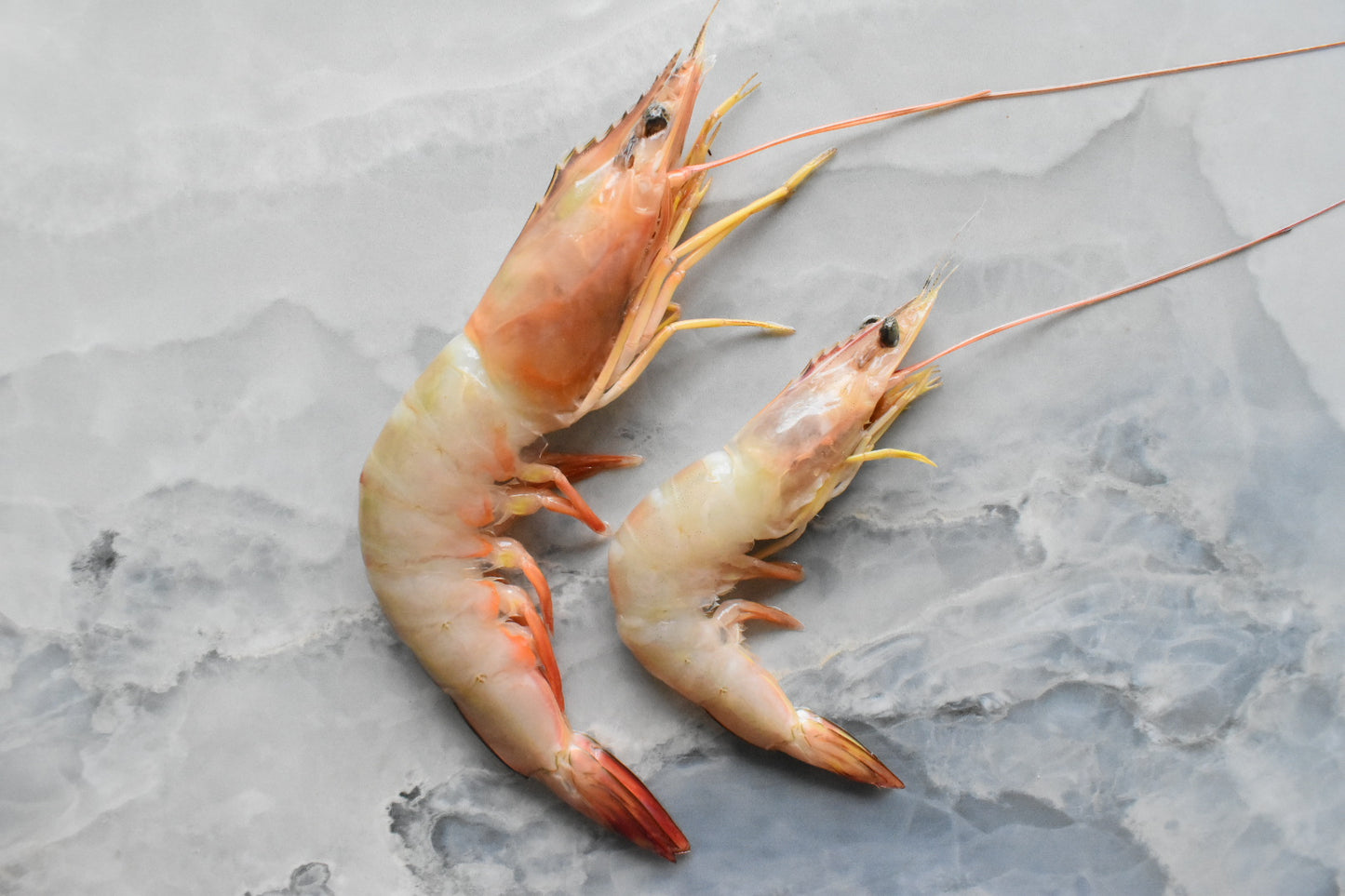 seafood delivery in Singapore