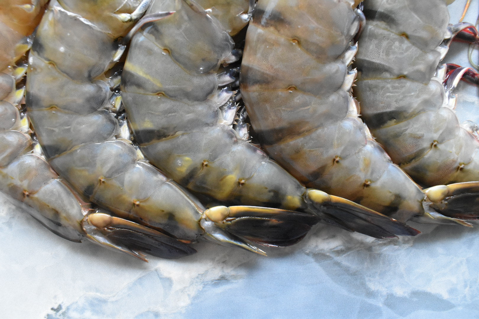 tiger prawn in singapore