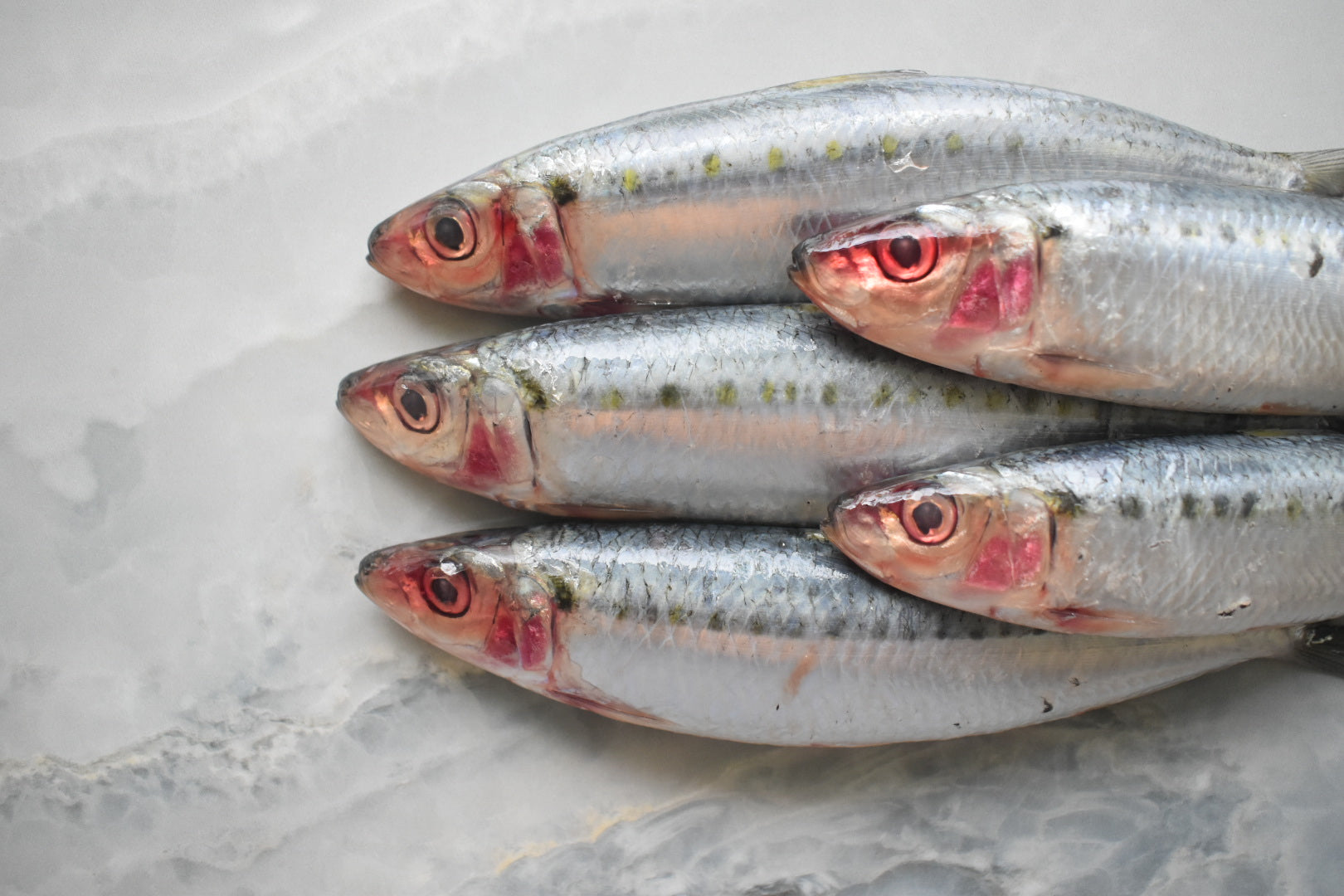 sardines in singapore