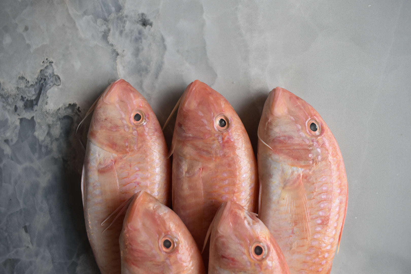 red mullet in singapore