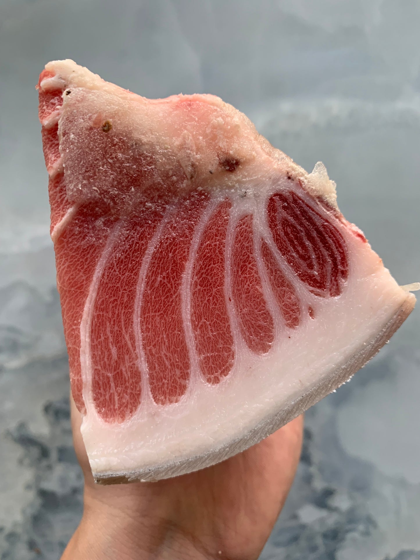 Otoro | Bluefin tuna |