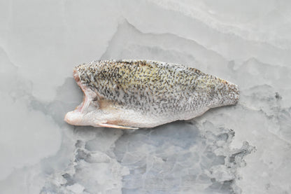 Seabass FilletㅣBarramundi