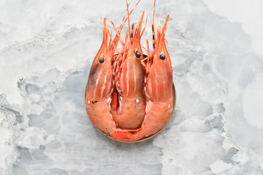 Botan ebi | spot prawn |