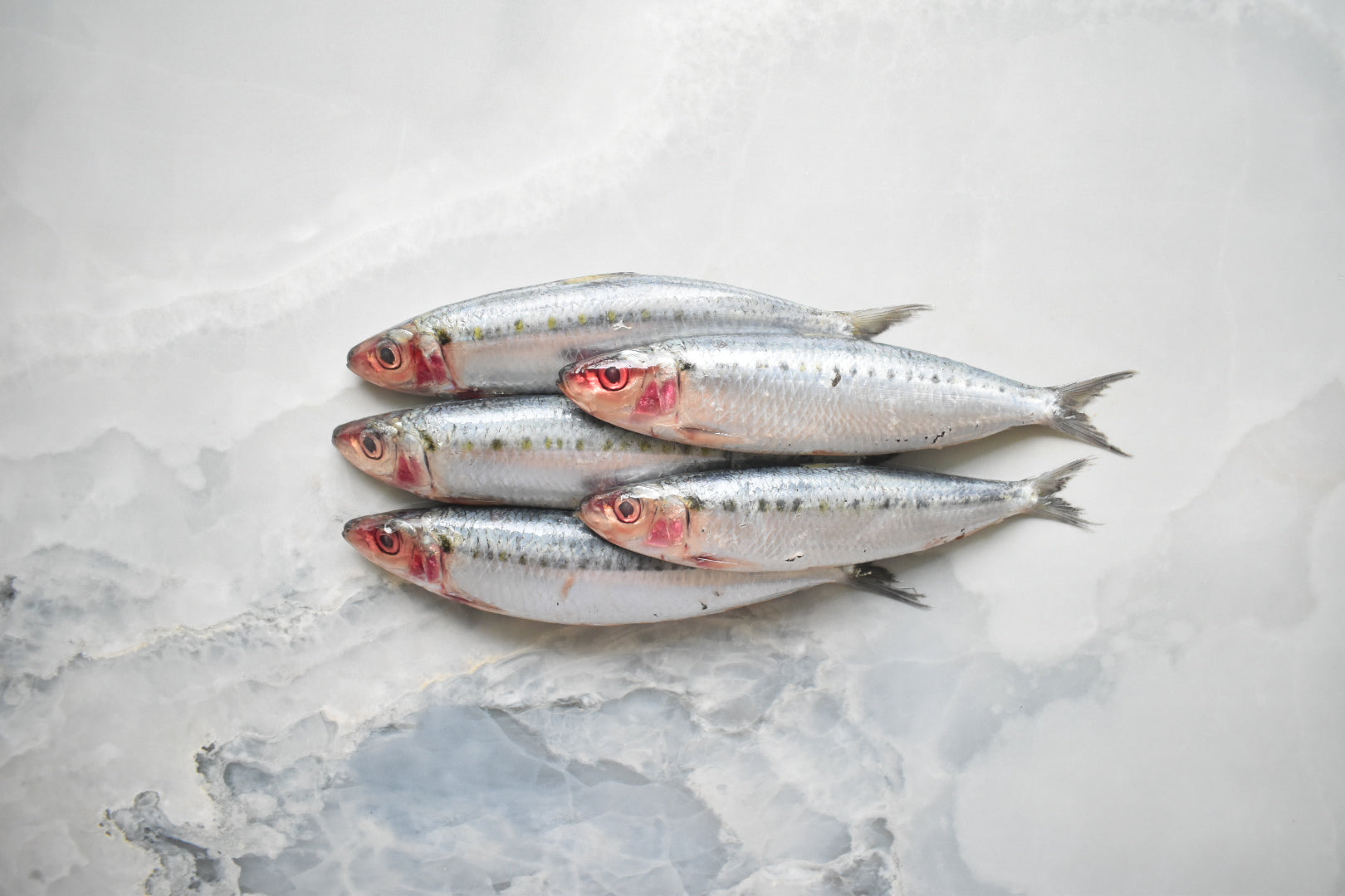 online seafood delivery in Singapore