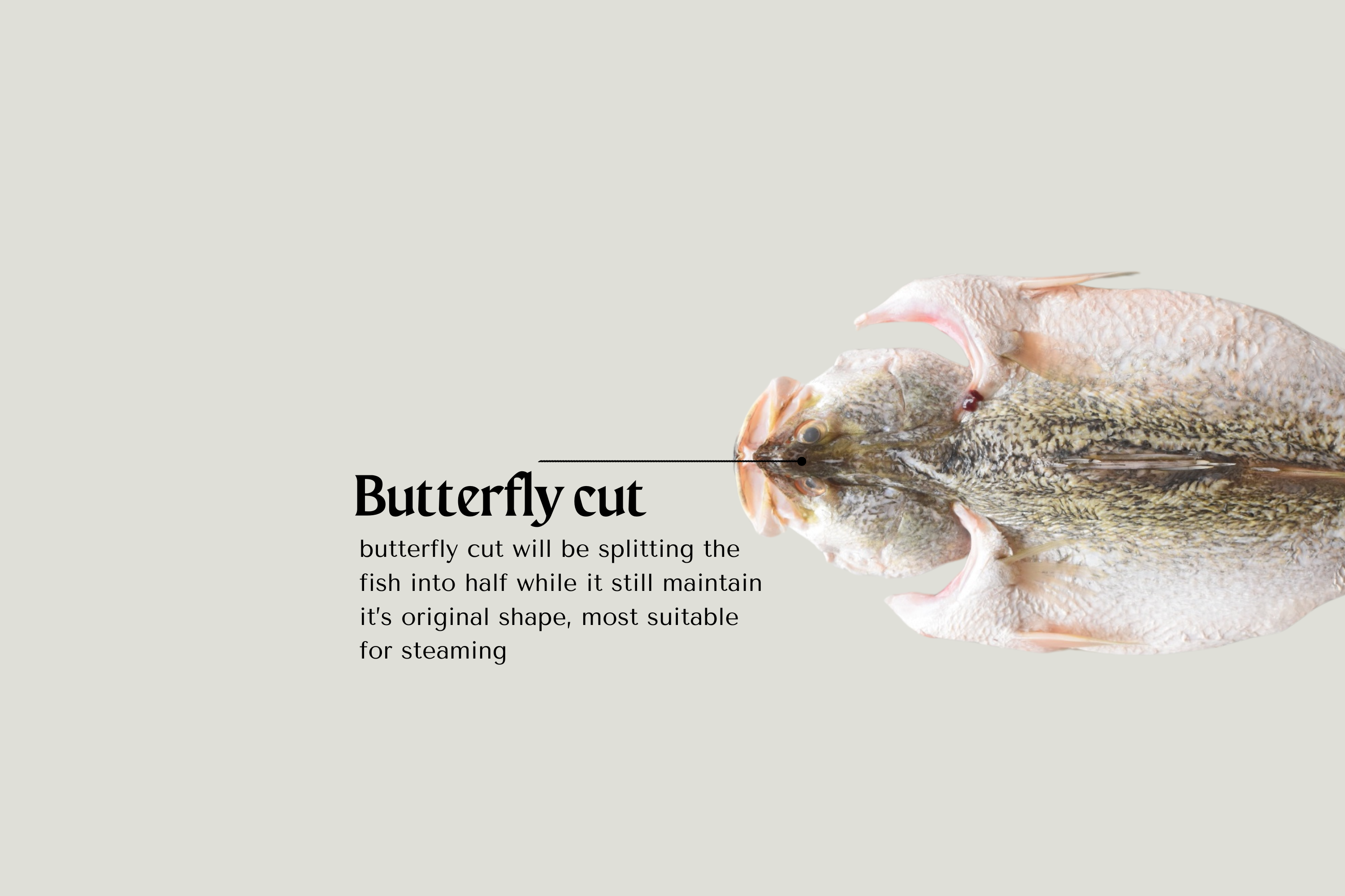 good quality seafood singapore